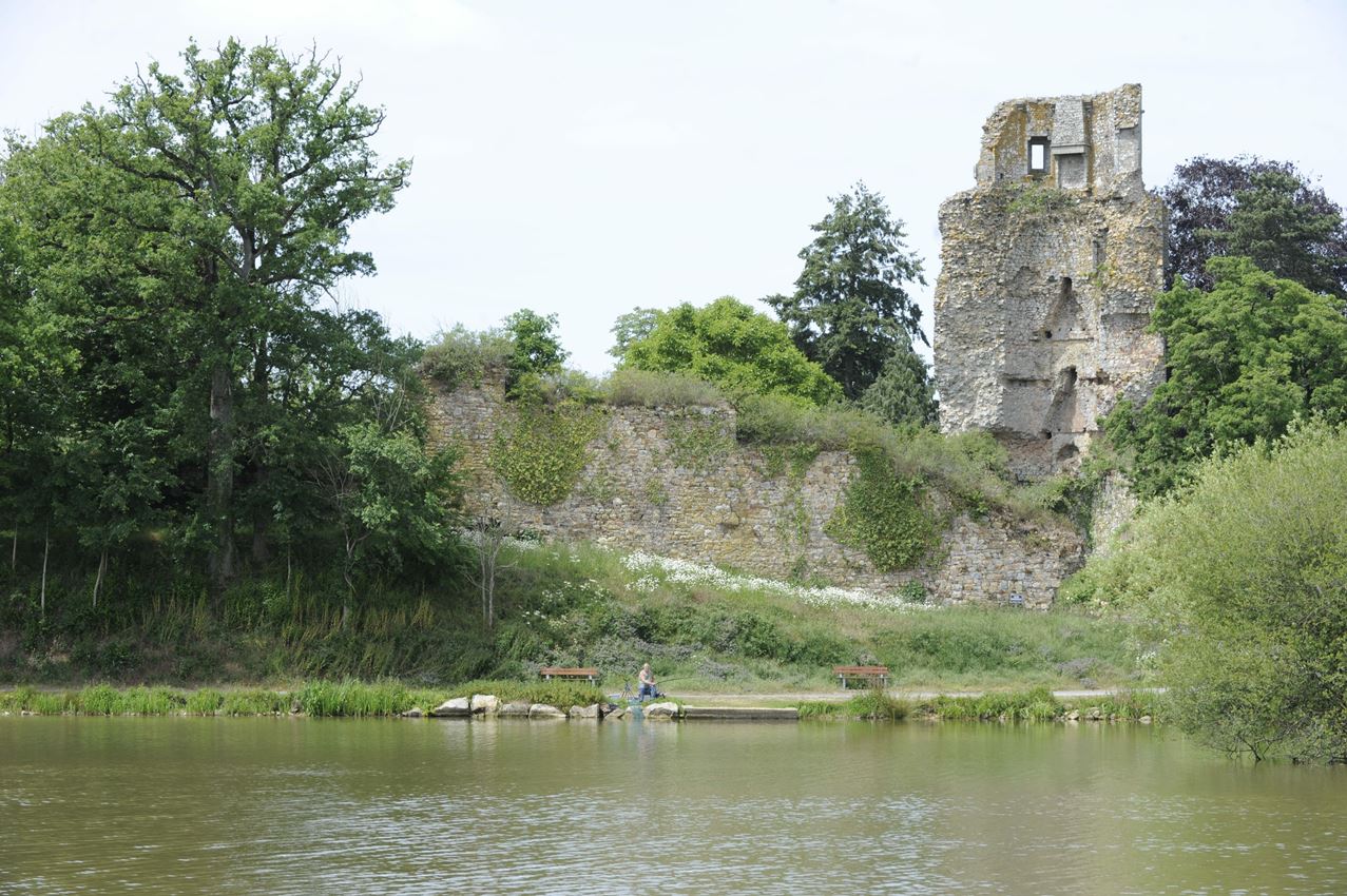 Le donjon mutilé de Saint-Aubin-du-Cormier, symbole de la défaite bretonne - Service de l'Inventaire du Patrimoine Culturel, Région Bretagne