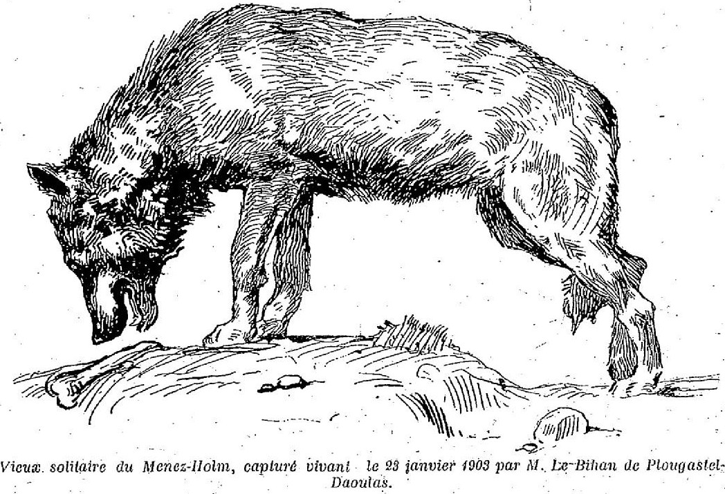 Dârain leû du Menez-Hom prinz vioche en 1903 - Le Journal du Dimanche (1903/05/15) - Lérerie nacionale de France