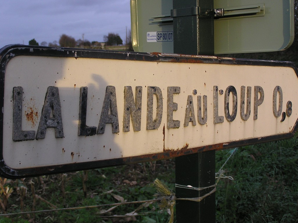 Le loup reste très présent dans les noms de lieux tels que « La Lande du loup », « Le Chêne au loup », « Toul Bleiz » (la fosse à loup), « La Chambre au loup », etc. - Photo François de Beaulieu