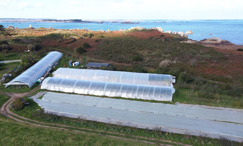 Tunnels sur l'île de Bréhat. Crédit photo : André Fiquet. RAIA.