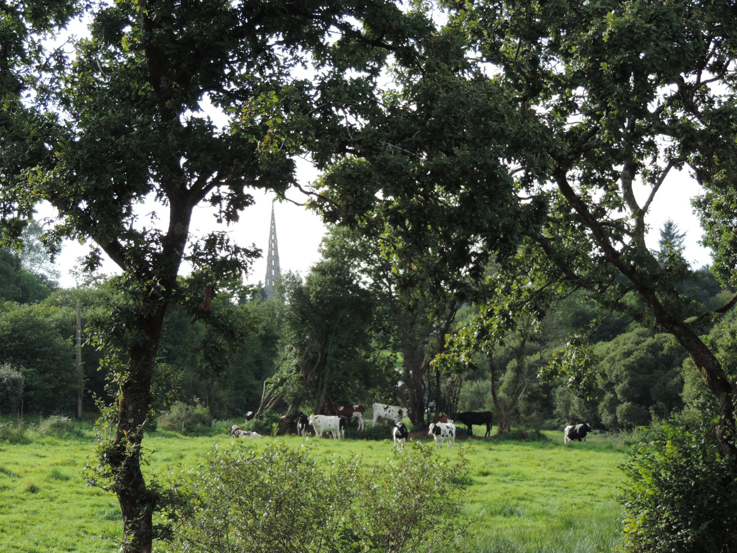 Les terres encloses du bocage constituent une structuration de l'espace et un mode spécifique d'organisation sociale qui diffèrent des régions à terres ouvertes (sans haies ni talus). ©Laurent Gall