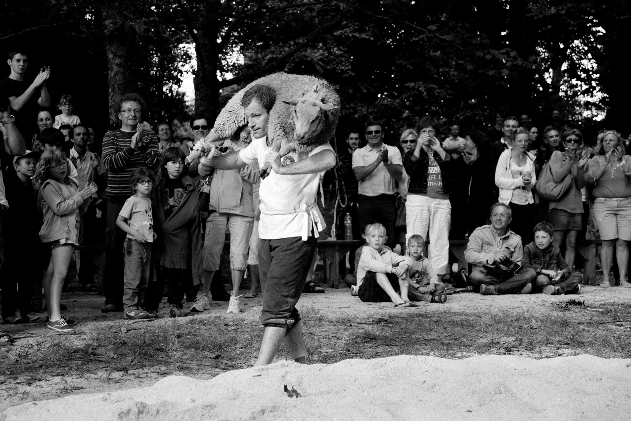 Aujourd’hui, à l’occasion de 7 à 8 tournois à l’ancienne au cours de l’été (saison d’été juin à fin août), les lutteurs peuvent remporter un maout ; lors d’1 seul tournoi pour les lutteuses. Par tradition, le vainqueur du tournoi fait le tour de la lice de sciure avec le bélier ou mouton sur les épaules. Ici Mathieu Le Dour, l’un des grands lutteurs bretons actuels, Tournoi de la Saint Cadou. Photographie : Eric Legret