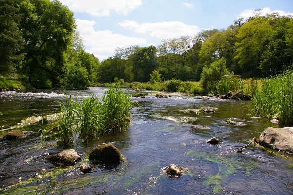 Le Trieux à Squiffiec (22) - Photo Eau et Rivières de Bretagne