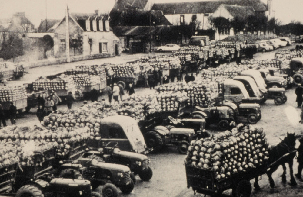 Marché : avant le cadran, producteurs et négociants se retrouvaient au marché. Les prix étaient fixés de gré à gré après de longues journées de négociation - Sica de Saint-Pol-de-Léon