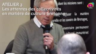 Syntèse atelier 3 : Les attentes des collectivités en matière de culture bretonne (offre, diversité, complémentarité)