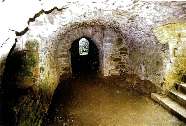 Bâtiment nord, caves vues de l’ouest vers l’est. (Cliché Paul Henry, août 2003.)