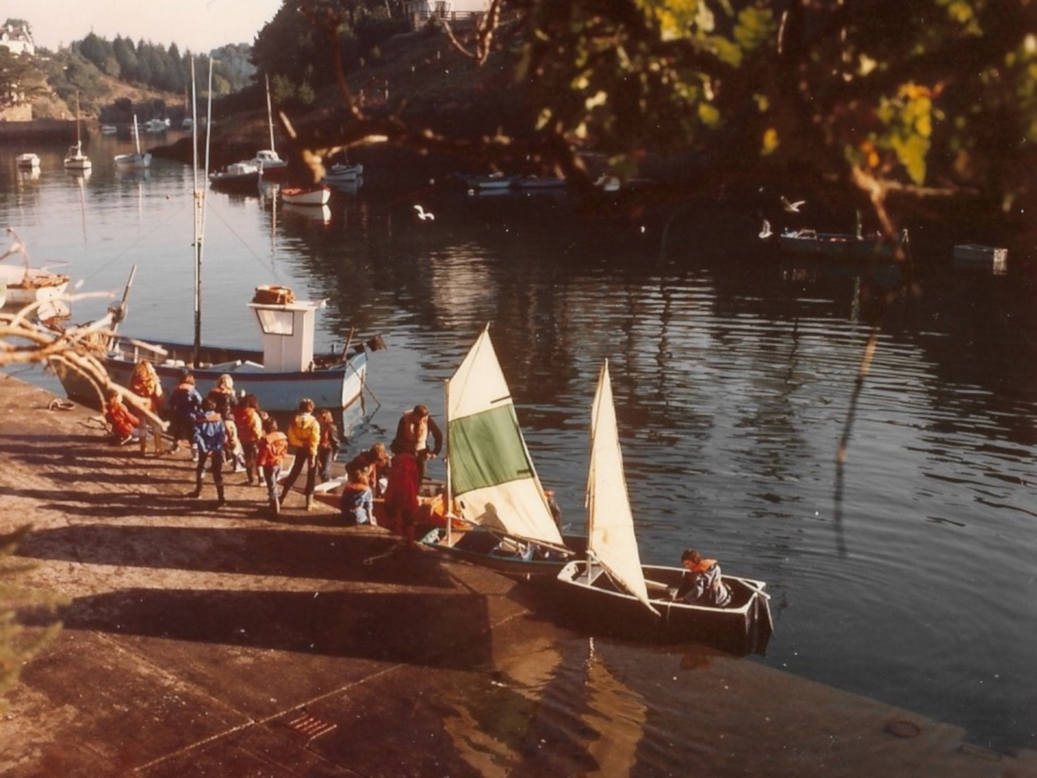 Dans les années 1980 les classes de mer évoluent et continuent de se développer. Crédits : P. Bénard / Finistère 360°. 