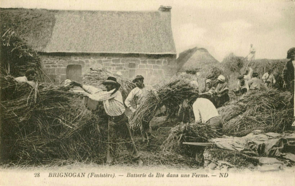 Un devezh-dornañ en ur menaj e komun Brignogan (Penn-ar-Bed) e deroù an XXvet kantved. Levy ha Neurdein, kenembannerien. Diwar Cartolis