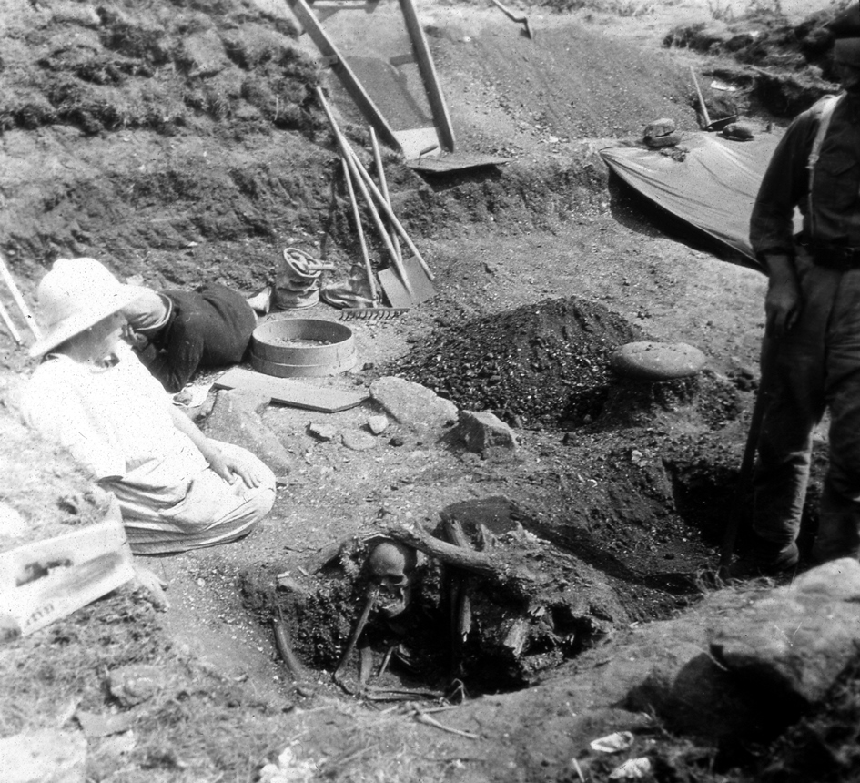 Sépulture D de Téviec en cours de fouille en 1928. Elle comprenait une jeune femme et un enfant dans ses bras, sous une accumulation de bois de cerfs (cliché : Péquart/Institut de Paléontologie humaine/Association Melvan).