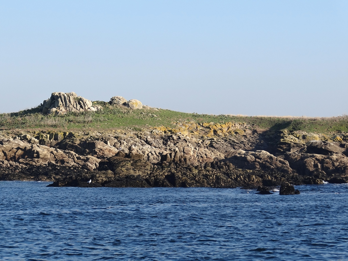 L’habitat et la nécropole mésolithique de Téviec (Saint-Pierre-Quiberon, Morbihan) étaient implantés en contrebas d’une éminence rocheuse (à droite sur la photo). Cet îlot était à l’époque rattaché au continent et dominait des formations côtières, dunes et lagunes, favorables à la chasse aux oiseaux (photo : G. Marchand). 