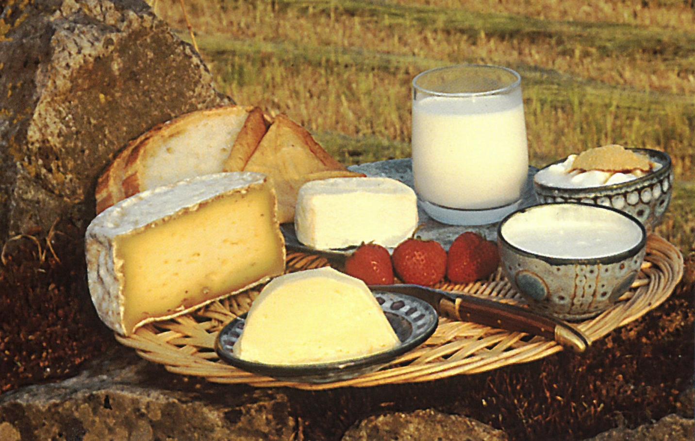 La transformation fermière. Des produits typés dans un terroir : de la tomme, du beurre, du fromage lactique type Saint-Marcellin, du gros-lait, du lait-ribot et du fromage blanc. Crédit : Livre La Bretonne Pie Noir, Pierre Quéméré, éd. France Agricole. Photo Lionel Flageul.