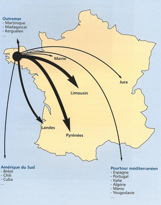 Esporzhadennoù pennañ ar saout Brizh-Du etre 1820 ha 1950. Diwar « La Bretonne Pie Noir », gant Pierre Kemere, emb. La France agricole