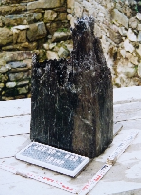 Restes d'un poteau de bois daté de 662.  Il correspond à la première implantation sur le versant sud du vallon (bâtiment fonctionnel) (cl. A. Bardel)