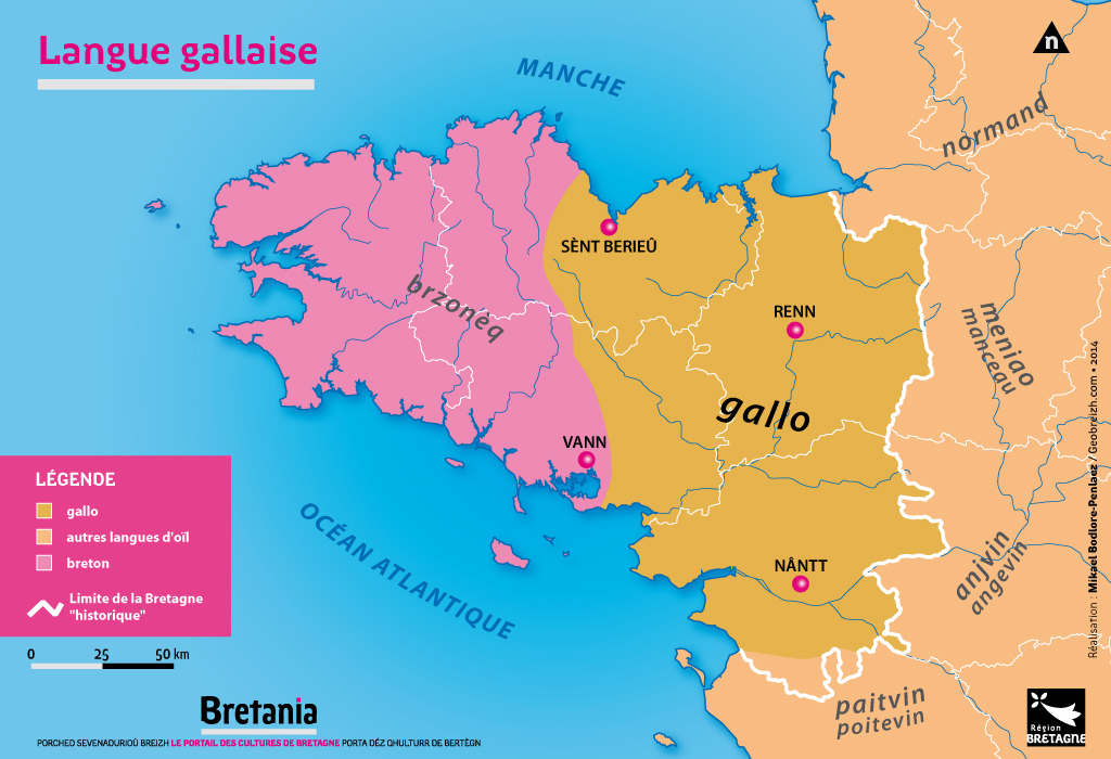 La langue Gallaise - BCD / Mikael Bodlore-Penlaez