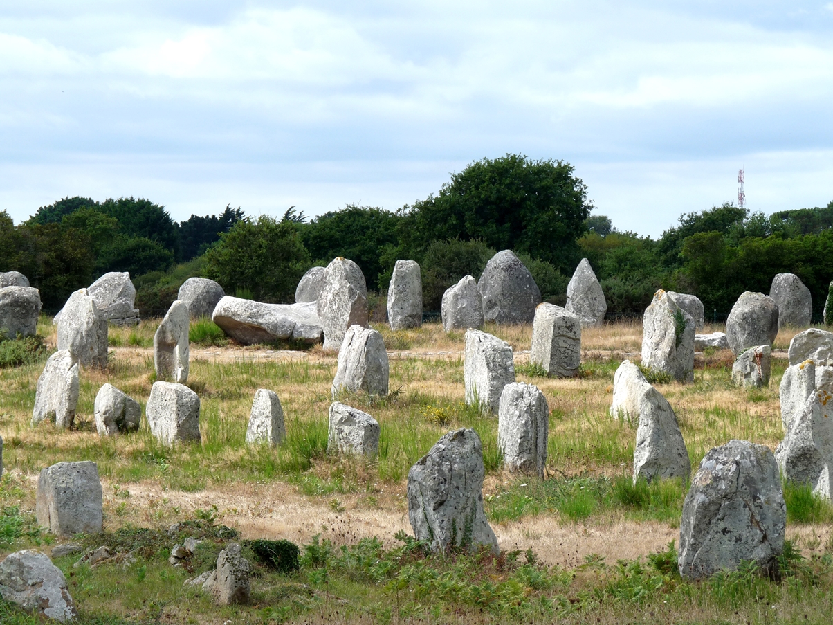 Les enlignements du Menec a Carnac eyou qe n'i-a 1099 roches piqhées su 11 afilonjées. Codaqe : Philippe Lanoë.