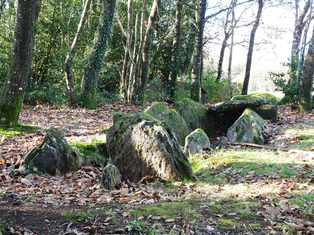 L’allée couverte des Bordouées ou Bordouès. Photo : Philippe Lanoë