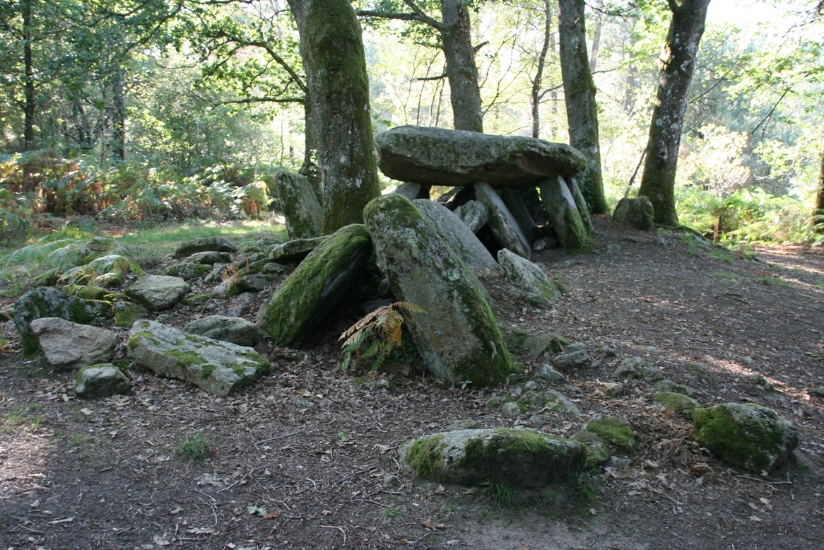 Allée couverte de La Loge au Loup (Trédion). Crédit : Philippe Gouezin.