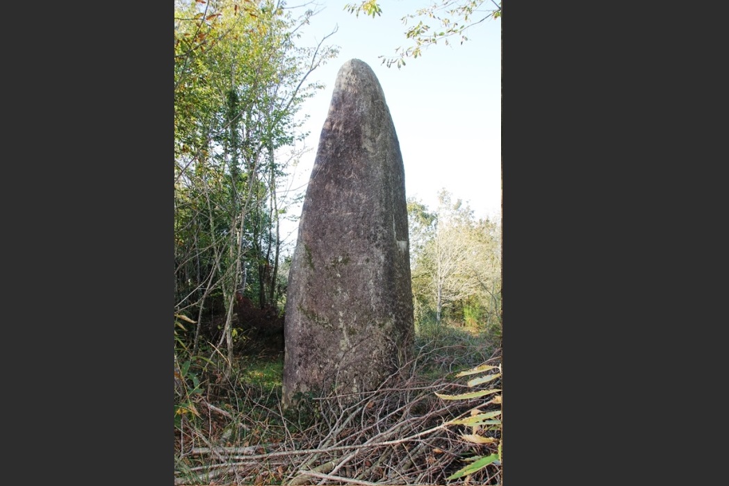 Menhir de Boisker-Cosquero  (Monstoir-Ac). Crédit : Philippe Gouezin.