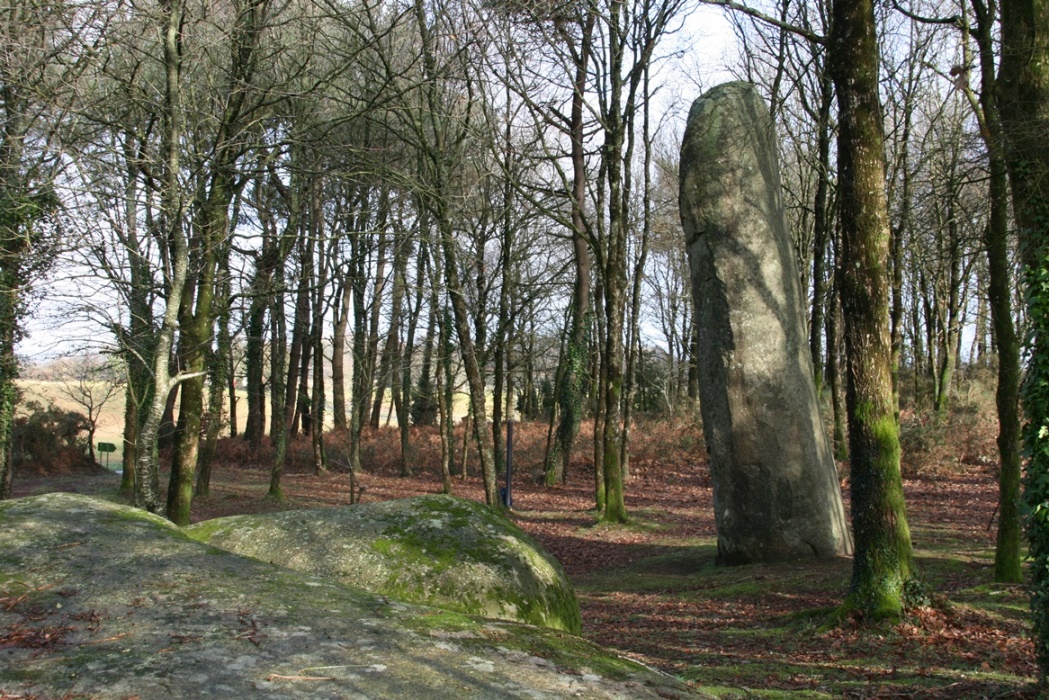 Menhir de Kermarquer (Monstoir-Ac). Crédit : Philippe Gouezin.