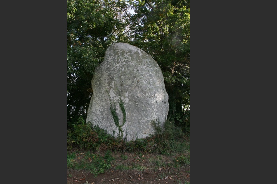 Menhir du Bignon (Saint-Guyomard). Crédit : Philippe Gouezin.