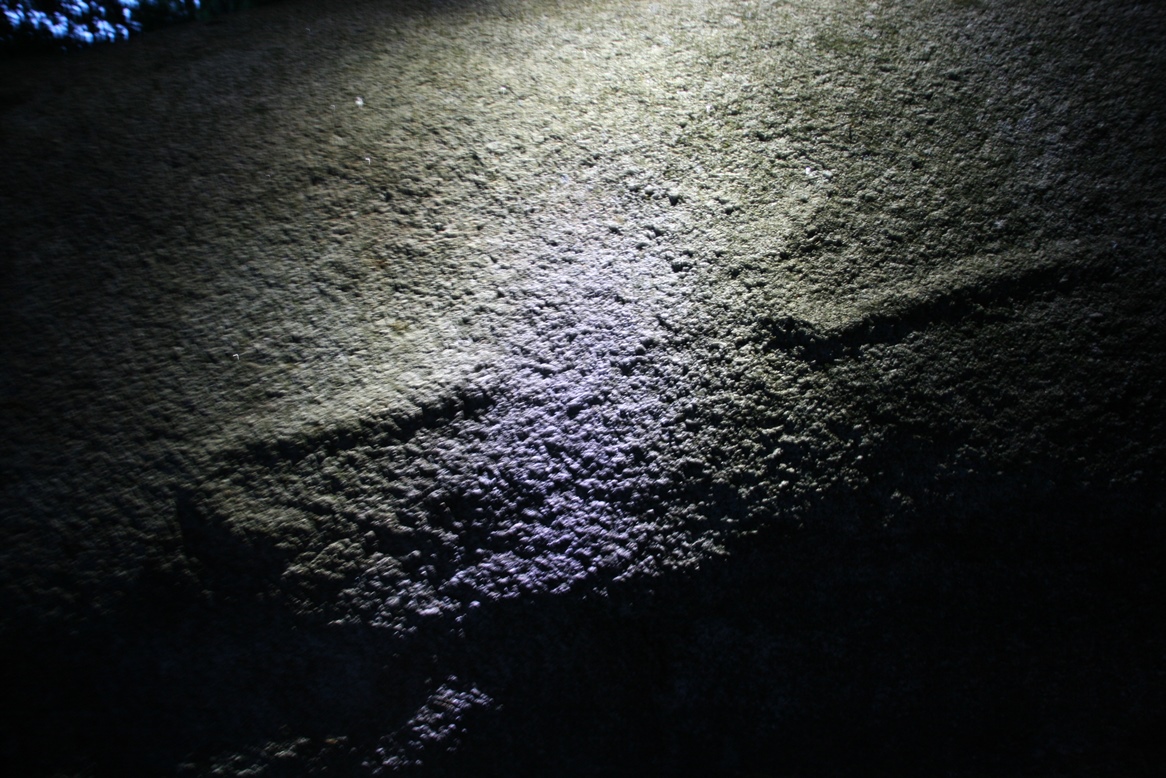 Crosses sur le menhir de Kermarquer (Monstoir-Ac). Crédit : Philippe Gouezin.