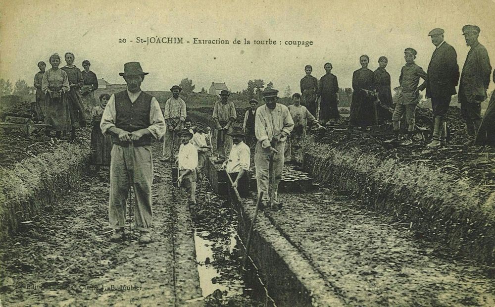 La Brière est une région pauvre en bois. Extraction de tourbe à Saint-Joachin (44). Premier quart du XXe siècle - Cartolis