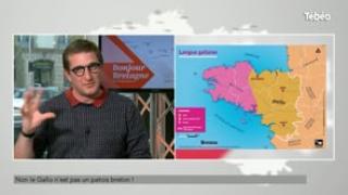 Chronique-langues-de-bretagne